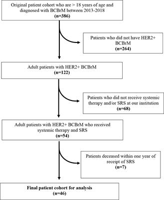 Systemic Therapy Type and Timing Effects on Radiation Necrosis Risk in HER2+ Breast Cancer Brain Metastases Patients Treated With Stereotactic Radiosurgery